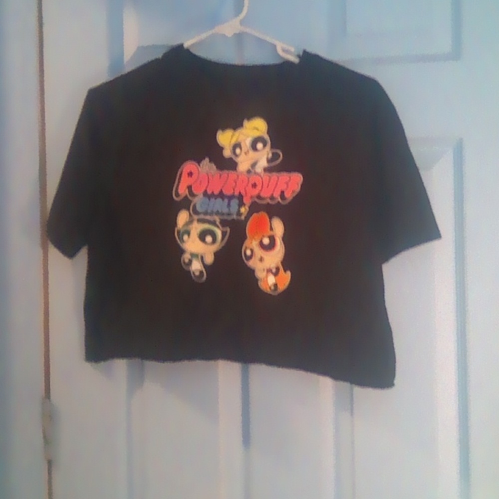 Powerpuff girl crop top